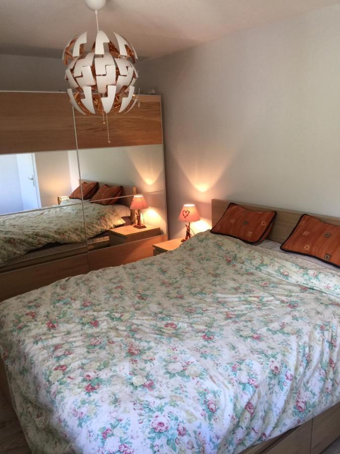 Appartement Face Au Mont Blanc & Glaciers Chamonix ภายนอก รูปภาพ