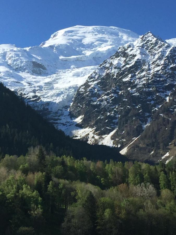 Appartement Face Au Mont Blanc & Glaciers Chamonix ภายนอก รูปภาพ