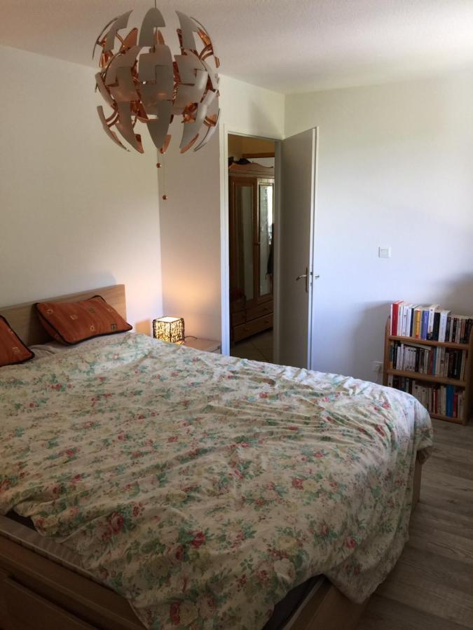 Appartement Face Au Mont Blanc & Glaciers Chamonix ภายนอก รูปภาพ
